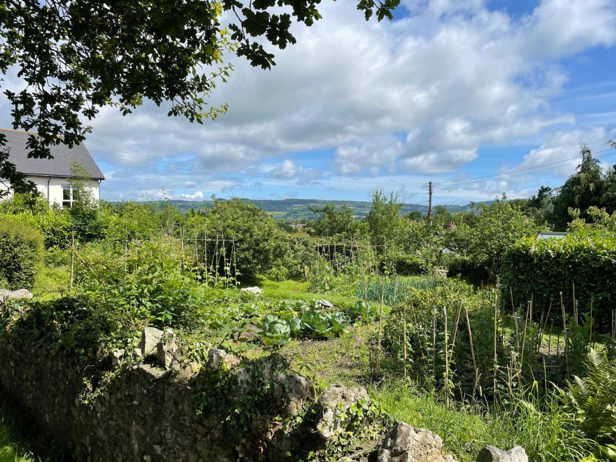 St Reatham Cottage Kilmington  Esterno foto